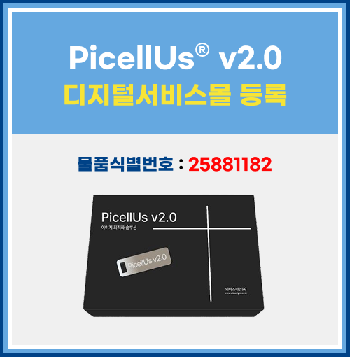 PicellUsv2.0 디지털서비스몰등록