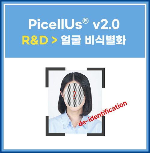 PicellUsv2.0 R&D얼굴비식별화